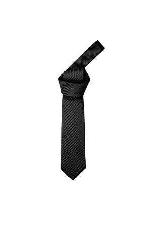 Diagonal Stripe Tie (Jet Black)