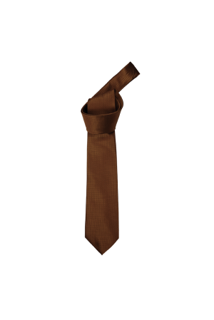 Mini Check Tie (Brown)