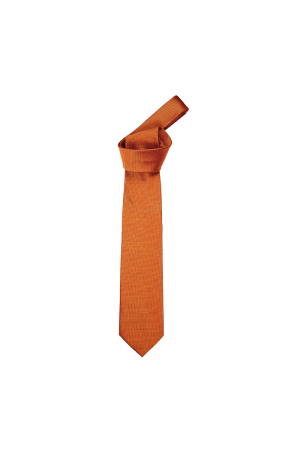 Mini Check Tie (Orange)