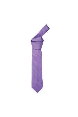 Mini Check Tie (Purple)