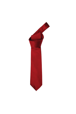 Mini Check Tie (Red)